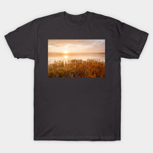 Sunrise at foggy lake T-Shirt